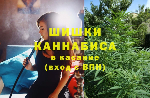 2c-b Саяногорск