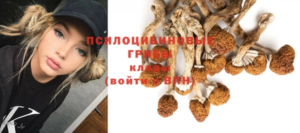 амф Армянск