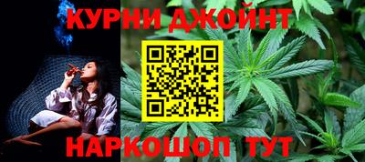 молекула духа Кингисепп