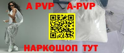 молекула духа Кингисепп