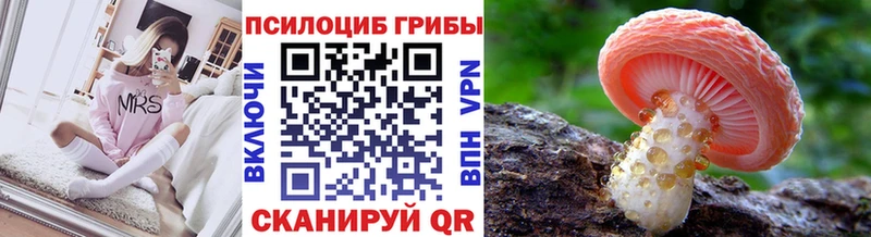 Галлюциногенные грибы MAGIC MUSHROOMS  купить  цена  OMG как войти  Кропоткин 