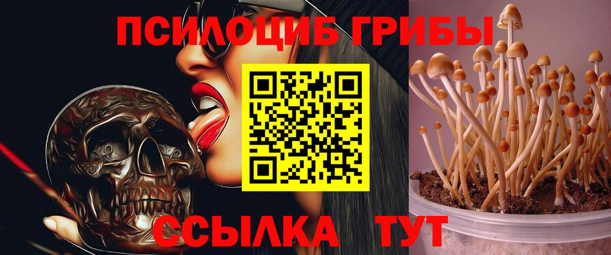 Галлюциногенные грибы мицелий Кропоткин