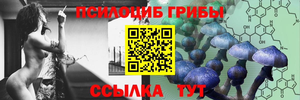 Кропоткин  Псилоцибиновые грибы Psilocybine cubensis  Вход с VPN 